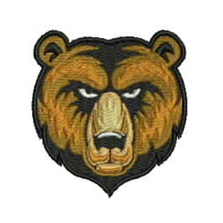Bear Cubs 13406