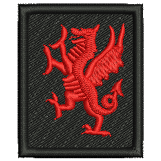 Welsh Dragon 12067