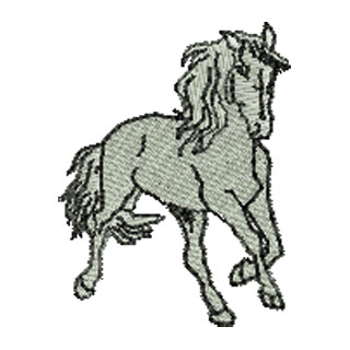 Horse 13834