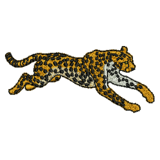 Cheetah 11207