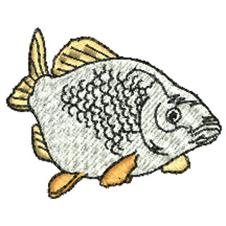 Fish 10934
