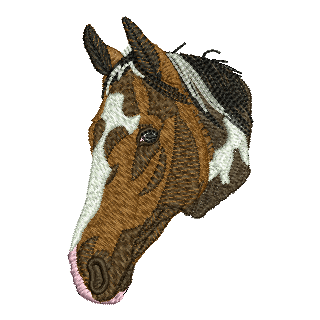 Horse 10021