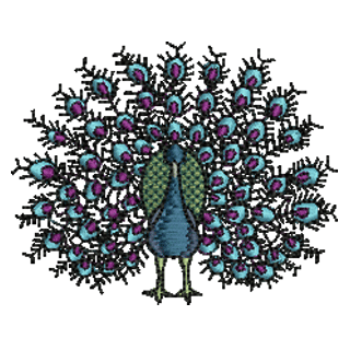 Peacock 11250