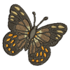 Butterfly 111201