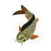 Koi Carp 14301