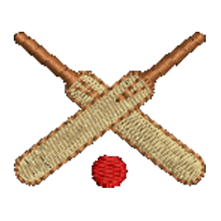 Cricket Bat 12692