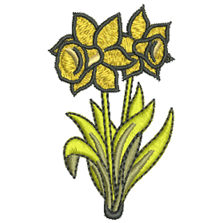 Daffodils 11718