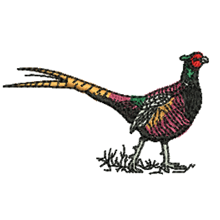 Pheasant 12170
