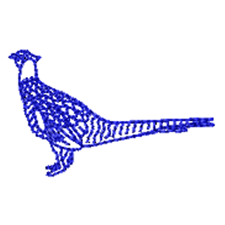 Pheasant Outline 12172