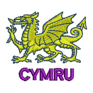 Welsh Dragon 14095