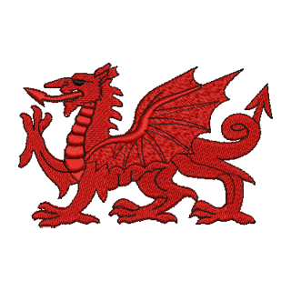 Welsh Dragon 14096