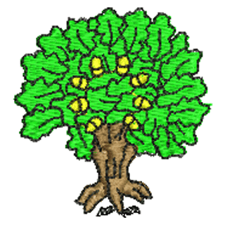 Oak Tree 10978