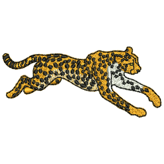 Cheetah 12017