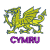 Welsh Dragon 14095
