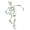 Skeleton 12468