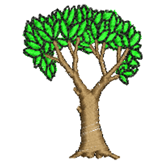 Tree 10755