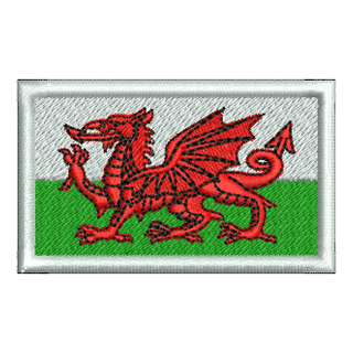 Wales Flag 11488