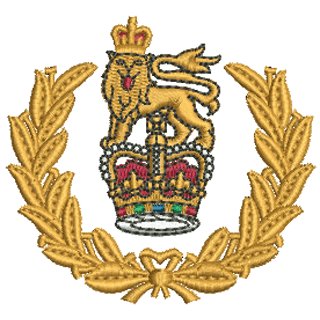 Army Female Boxing 11528