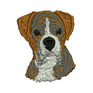 Boxer Dog 12666