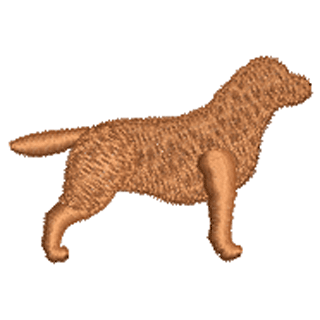 Dog 12057