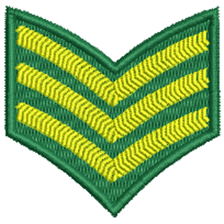 Sergeant Stripe 11543