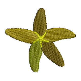 Starfish 14042