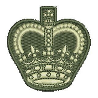 Warrent Officer Class 3 13535