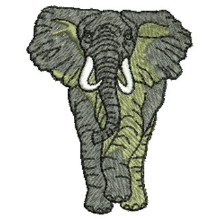 Elephant 20654