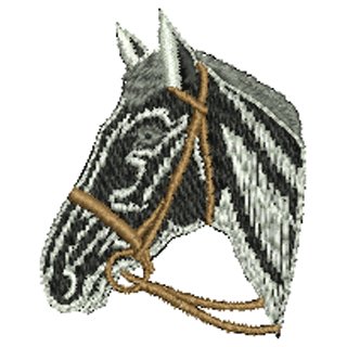 Horse 10533