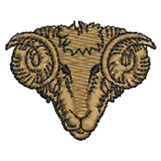 Ram 10976